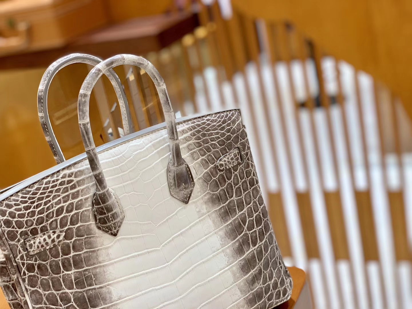 Hermès（爱马仕）Birkin 铂金包 喜马拉雅 深色  特级品质 一级皮 尼罗鳄鱼皮 银扣 25cm